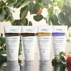 Aveda Color Renewal Color & Shine Treatment Cool Brown Обновление цвета Уход за цветом и блеском