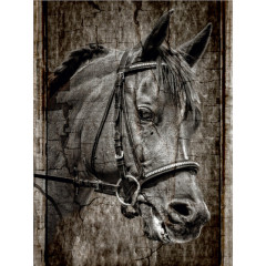 CALVENDO Puzzle CALVENDO Puzzle Antic Pferdemalerei Пазл CALVENDO Puzzle Старинная лошадь картина