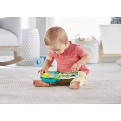Mattel Fisher-Price Tierfreunde-Liederbuch Сборник песен Fisher-Price для любителей животных