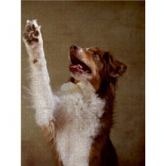 CALVENDO Puzzle CALVENDO Puzzle Jake Пазл CALVENDO Пазл Джейк