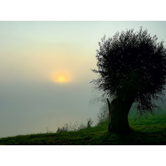 CALVENDO Puzzle CALVENDO Puzzle Sonne des Herbstes Пазл CALVENDO Пазл осеннее солнце