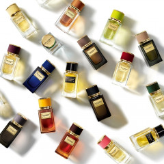 Dolce&amp;Gabbana  Velvet Collection Vetiver  Коллекция Velvet Vetiver