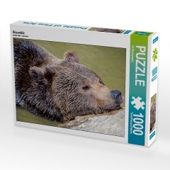 CALVENDO Puzzle CALVENDO Puzzle Braunbar Пазл CALVENDO Puzzle Braunbar