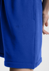 Tommy Hilfiger LOGO TERRY Shorts ultra blue шорты с ЛОГОТИПОМ ультра синий