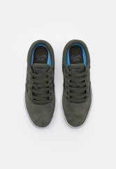 Nike SB CHRON 2 UNISEX Sneaker low sequoia/black/white CHRON 2 UNISEX Низкие кроссовки женские секвойя/черный/белый